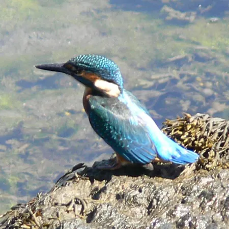 Apartment En Enclave Privilegiado Nigran